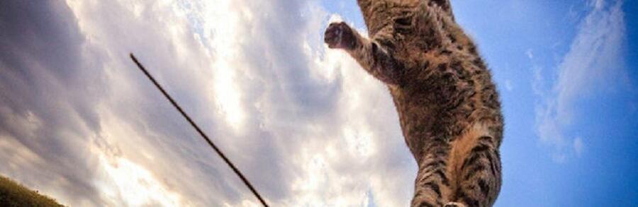 1000042262_69035f9c0cc91