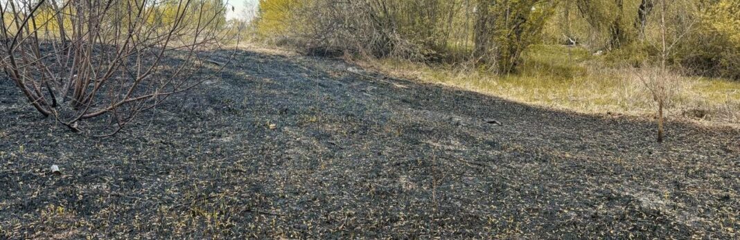 1000042264_69038095ad666