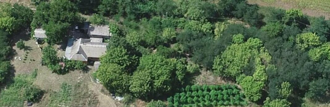 1000042270_69038fc80d03f